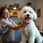 Die Wahrheit über Hundefriseur in der Nähe: Preise, Kosten und alles, was du wissen musst!