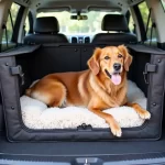 Der ultimative Leitfaden für die perfekte Autobox für den Rücksitz: Autobox Hund Rücksitz