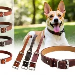 Entdecken Sie das Beste: Lederhalsband Hund Breit für Stil und Komfort!